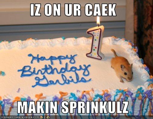 HAPPY BIRTHDAY MIZORE-CHAN (alvast o3o) Funny-pictures-gerbil-makes-sprinkles-for-your-birthday-cake